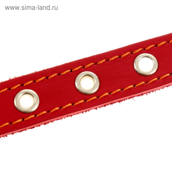 Ошейник кожаный однослойный безразмерный, 45 х 2 см, ОШ 18-39 см, красный Ошейник кожаный однослойный безразмерный, 45 х 2 см, ОШ 18-39 см, красный