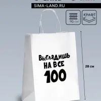 Пакет подарочный с приколами «Выглядишь на все 100», 24×14×28 см