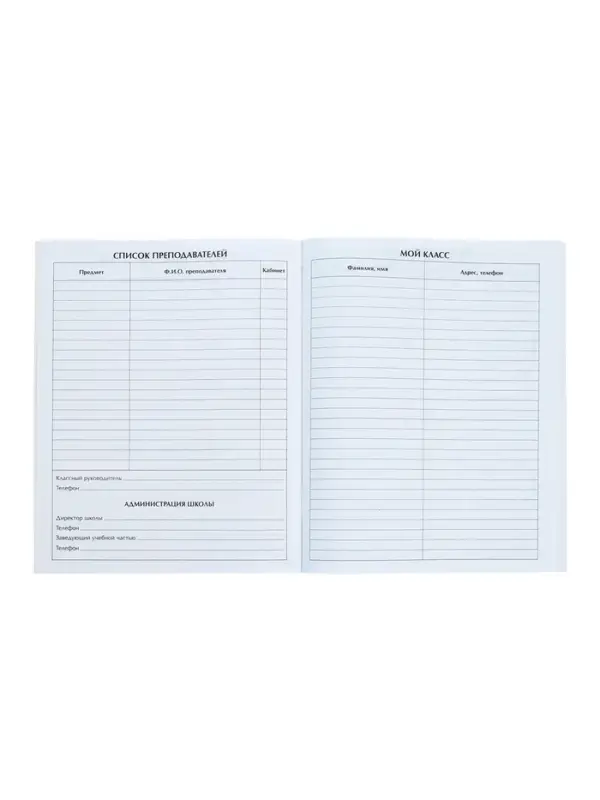 Дневник школьный для 1-11 классов, &laquo;Школа&raquo;, мягкая обложка, 40 листов