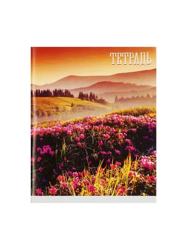 Тетрадь 48 листов в клетку, Calligrata «Времена года», обложка мелованная бумага, серые листы, МИКС