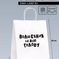 Пакет подарочный с приколами «Волшебная на всю голову», 24×14×28 см