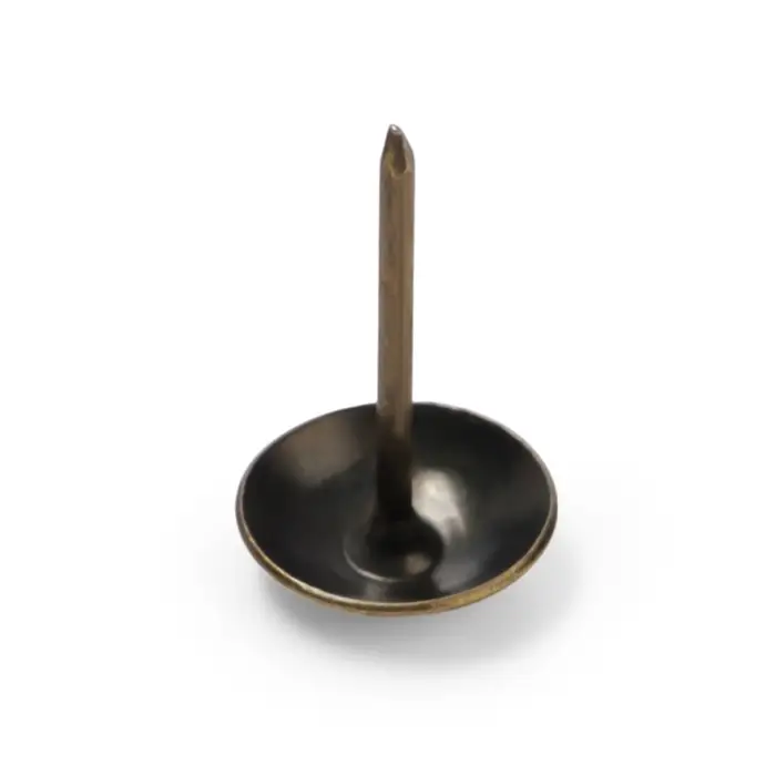 Гвозди ТУНДРА, декоративные, обивочные, 10&times;18.5 мм, бронза, 100 шт.