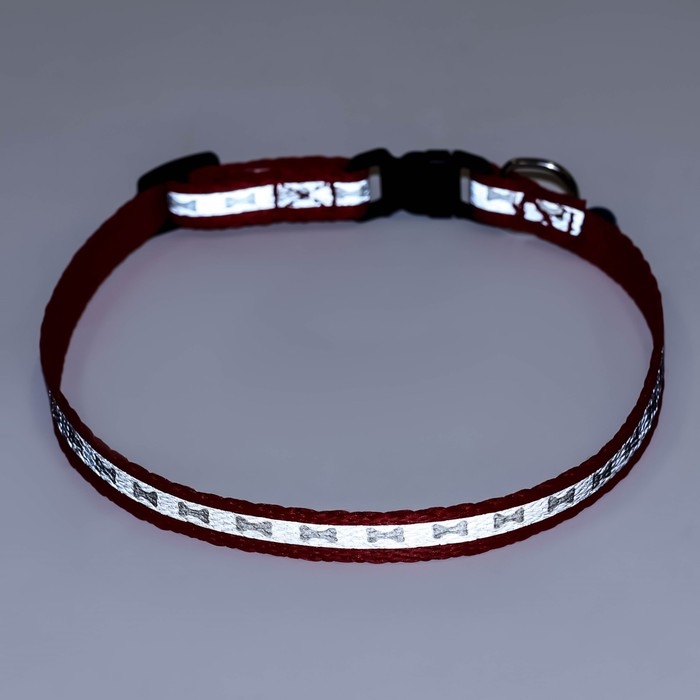 Ошейник светоотражающий с лапками 30 х 1 см, капрон, микс цветов Ошейник светоотражающий с лапками 30 х 1 см, капрон, микс цветов