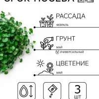 Семена цветов Дихондра &laquo;Волшебник Изумрудного города&raquo;, 3 шт.