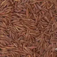 Газонная травосмесь для быстрого ремонта газона "POWERSEED", 1 кг