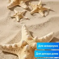 Набор из 3 морских звезд, размер 5-7 см, 7-10 см, 10-12 см, белый