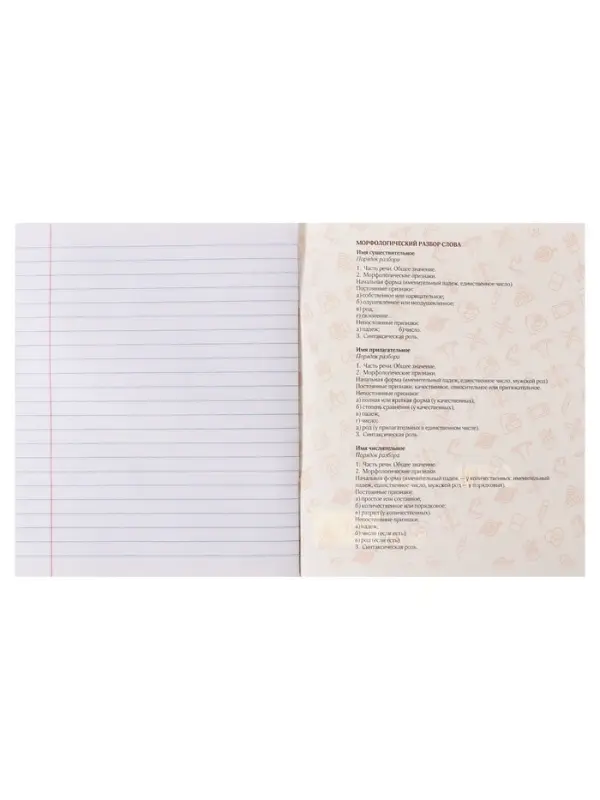 Тетрадь предметная 48 листов в клетку Calligrata, &laquo;Кеды. Русский язык&raquo;, картонная обложка