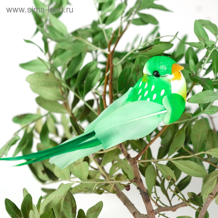 Птичка для декора и флористики, на прищепке, МИКС, пластиковая, 1шт., 8 х 8 см Птичка для декора и флористики, на прищепке, МИКС, пластиковая, 1шт., 8 х 8 см