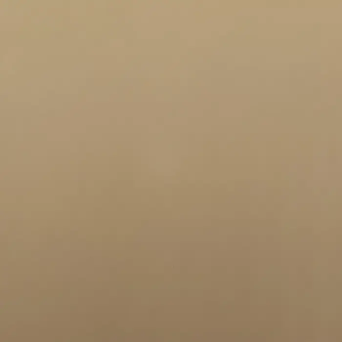 Пленка для цветов тонированная, матовая, темная олива, 57×57 см ±5% см, 65 мкм Пленка для цветов тонированная, матовая, темная олива, 57×57 см ±5% см, 65 мкм