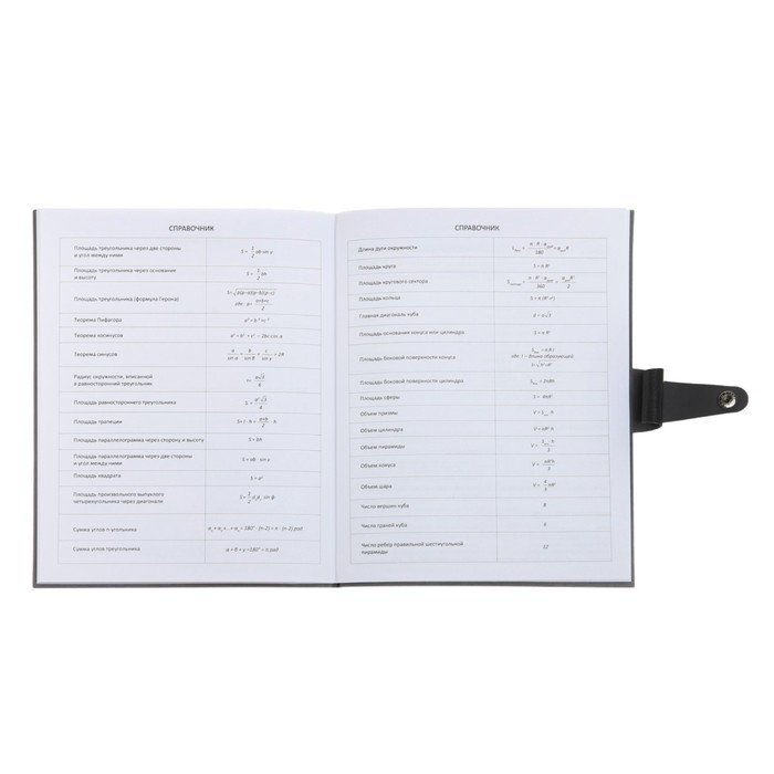 Дневник универсальный для 1-11 классов Favorite, интегральная обложка из искусственной кожи на кнопке, тиснение фольгой, ляссе, 48 листов