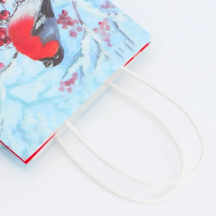 Пакет бумажный подарочный новогодний крафт «Снегири» 16×12×6 см