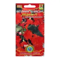 Семена цветов Бегония "Шансон Медная", F1, махровая, драже 5 шт Семена цветов Бегония "Шансон Медная", F1, махровая, драже 5 шт