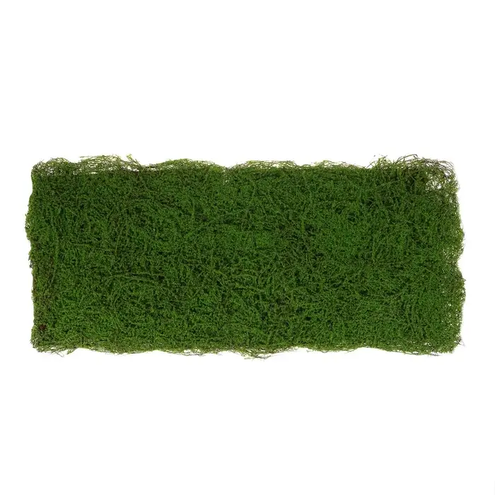 Декоративная панель, 90&times;40 см, &laquo;Мох&raquo;, Greengo