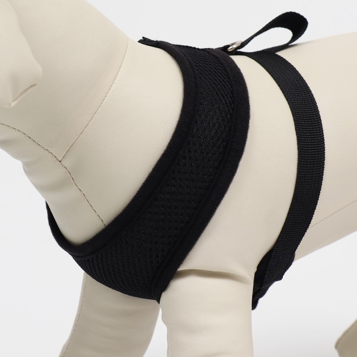 Шлейка мягкая из неопрена, размер XL, ОШ 42 см, ОГ 38-50 см, чёрная Шлейка мягкая из неопрена, размер XL, ОШ 42 см, ОГ 38-50 см, чёрная