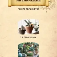 Грунт для Кактусов и суккулентов PETER PEAT, линия &laquo;Хобби&raquo;, 5 л