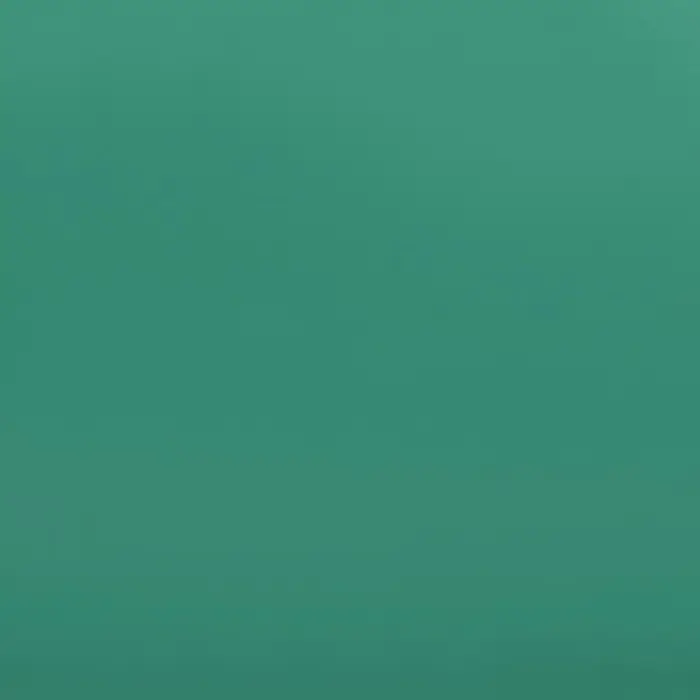 Пленка двухсторонняя для цветов и декора, 0.57×0.57 см, зелёный Пленка двухсторонняя для цветов и декора, 0.57×0.57 см, зелёный