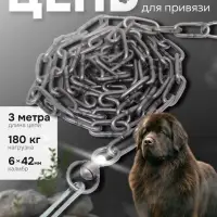 Цепь для привязи собак, 3 м, калибр 6&times;42 мм, черная
