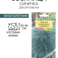 Семена цветов Овсяница "Синичка", ц/п, декоративная , 0,1 г Семена цветов Овсяница "Синичка", ц/п, декоративная , 0,1 г