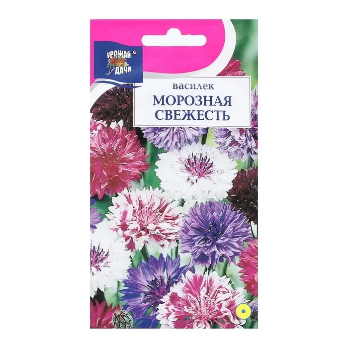 Семена цветов Василек Семена цветов Василек "МОРОЗНАЯ СВЕЖЕСТЬ", 0,5 г