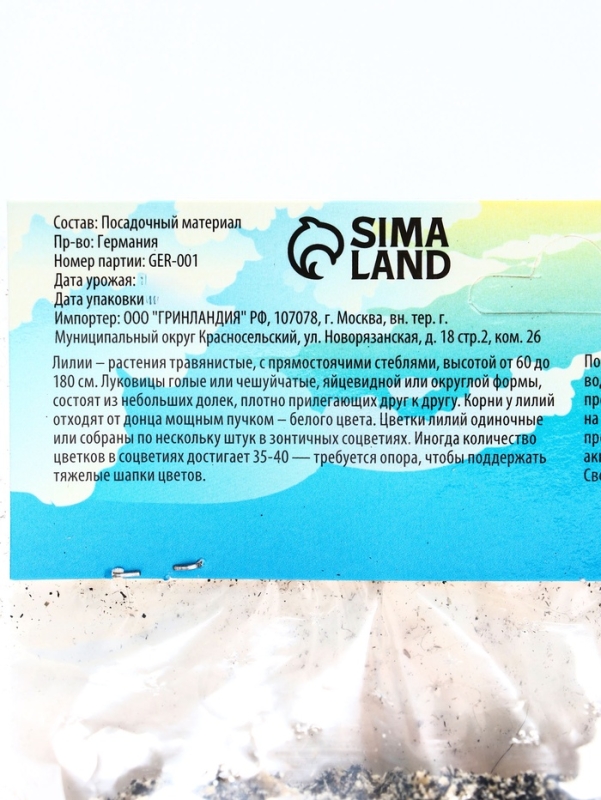 Лилия гибридная «Олимпик Торч», луковица в пакете с перфорацией, р-р 14/16, 2 шт.