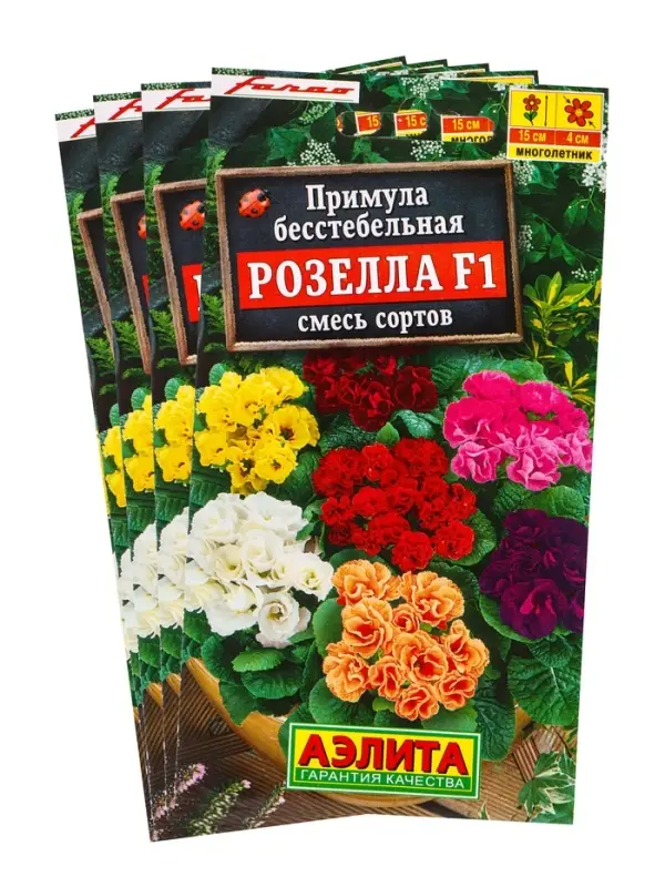 Набор семян Примула &laquo;Розелла&raquo;, смесь окрасок, F1, 4 шт., &laquo;Мой выбор&raquo;
