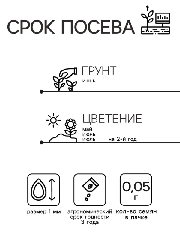 Семена Маргаритка Помпонная, смесь сортов   Дв Ц/П 0,05г