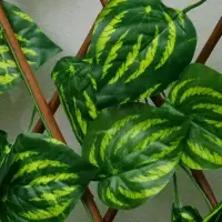 Ограждение декоративное &laquo;Лист осины&raquo;, 120&times;35 см, Greengo