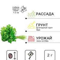 Семена Петрушка "Бутербродная" листовая  "Лидер", 2 г    ,