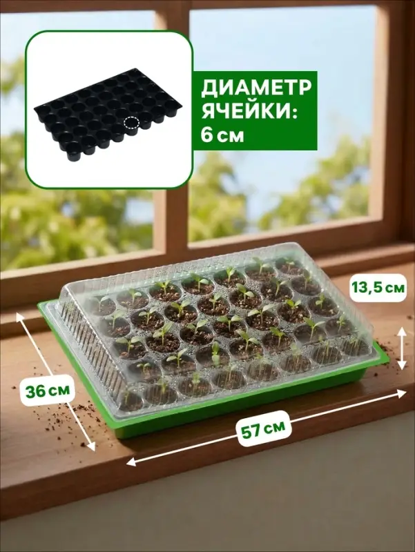 Мини-парник для рассады, 57&times;36&times;13.5 см, 1 вставка, 40 ячеек, Greengo