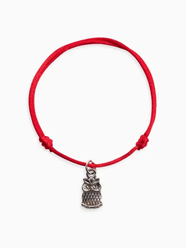 Браслет-оберег &laquo;Красная нить&raquo;, кошельковая сова, цвет чернёное серебро, 20 см