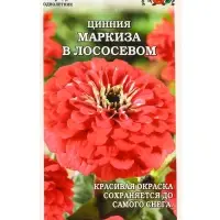 Семена Цинния Маркиза в Лососевом /Сотка/ 0,2 г/ h-80см, d-14см/*1000 Семена Цинния Маркиза в Лососевом /Сотка/ 0,2 г/ h-80см, d-14см/*1000