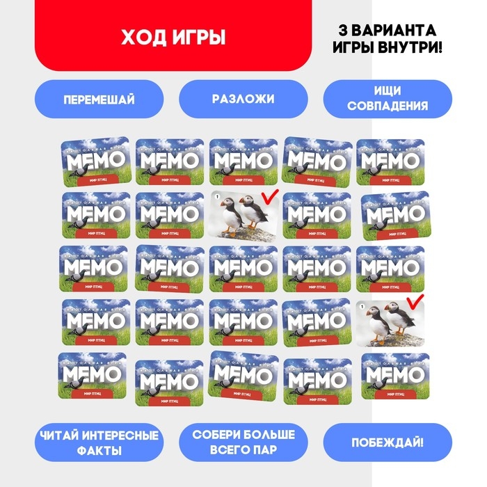 Мемо «Мир птиц» Мемо «Мир птиц»