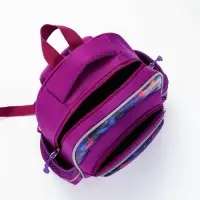 Рюкзак школьный, с эргономичной спинкой, 2 отделения &laquo;Бабочки&raquo;