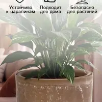 Кашпо для цветов &laquo;Микрит&raquo;, 1.9 л, d=18 см, h=16.5 см, со вставкой, пластиковое, бежевое