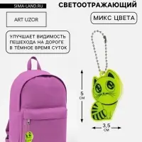 Светоотражающий элемент &laquo;Кошка&raquo;, 5&times;3.5 см, МИКС