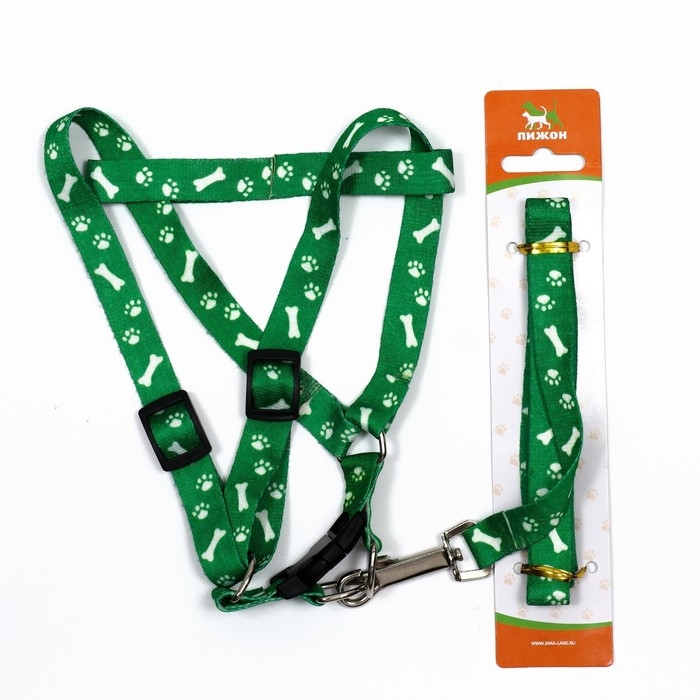 Комплект капроновый Комплект капроновый "Косточки и лапки", 1,5 см, шлейка 30-44 см, поводок 120 см, зелёный