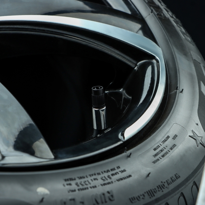 Колпачки на шинный вентиль, черные, пластик, 60 шт Колпачки на шинный вентиль, черные, пластик, 60 шт