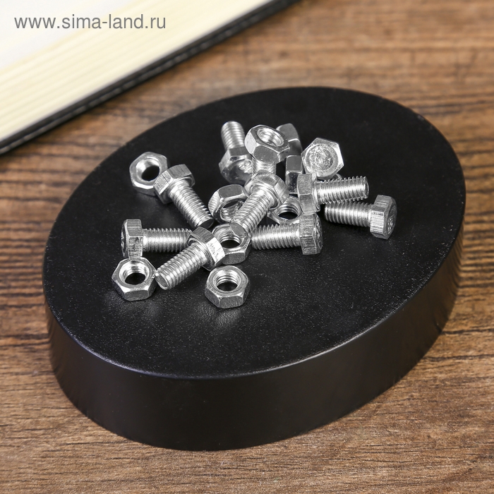 Головоломка магнитная Головоломка магнитная "Болты"