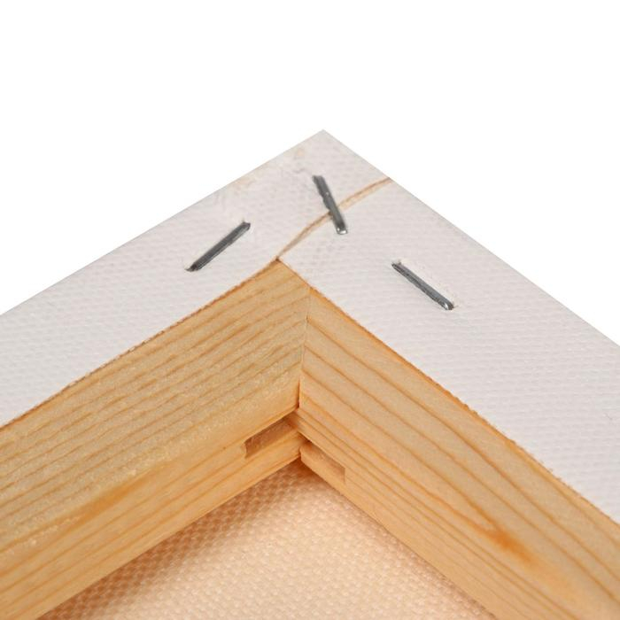 Холст на подрамнике, хлопок 100%, акриловый грунт, 2 х 80 х 100 см, 400 г/м2, , крупное зерно, Гамма Холст на подрамнике, хлопок 100%, акриловый грунт, 2 х 80 х 100 см, 400 г/м2, , крупное зерно, Гамма "Студия"