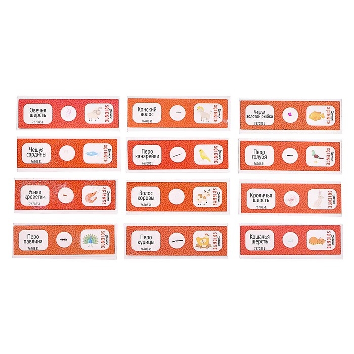 Набор для опытов «Набор микропрепаратов», животные Набор для опытов «Набор микропрепаратов», животные