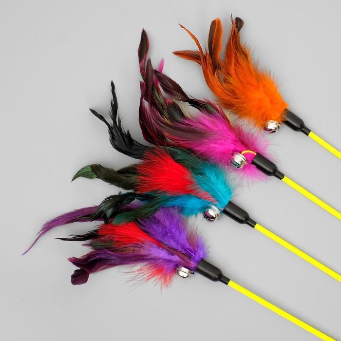 Дразнилка  Дразнилка "Фазан" с бубенчиком, 50 см, микс цветов