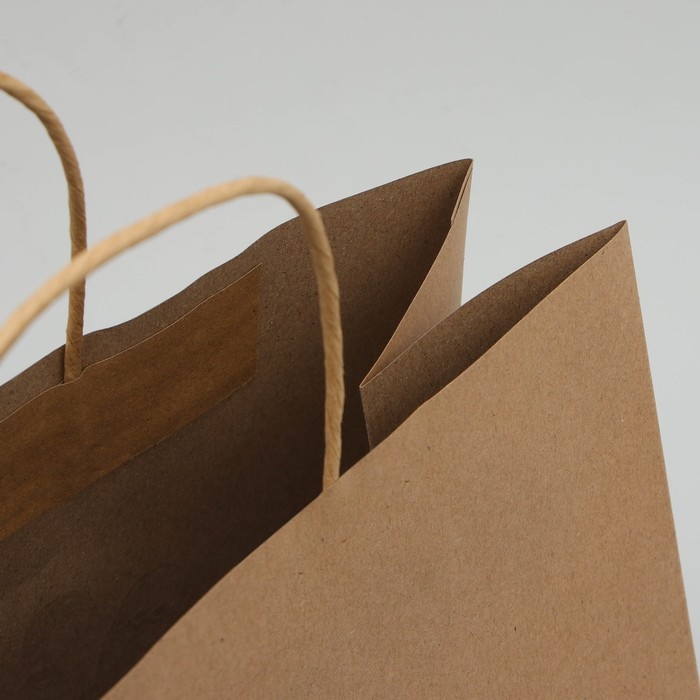 Пакет подарочный новогодний крафтовый Gold, 32 х 28 х 15 см, Новый год Пакет подарочный новогодний крафтовый Gold, 32 х 28 х 15 см, Новый год