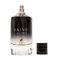 Парфюмерная вода мужская Salvo (по мотивам Dior Sauvage), 100 мл