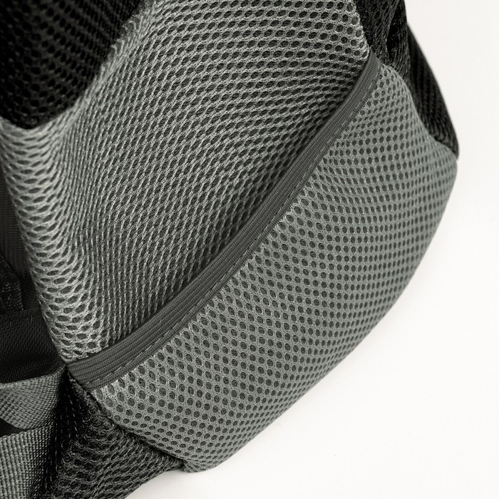 Рюкзак-переноска для кошек и собак, максимальный вес 16 кг, 36 х 21 х 45 см, чёрный Рюкзак-переноска для кошек и собак, максимальный вес 16 кг, 36 х 21 х 45 см, чёрный