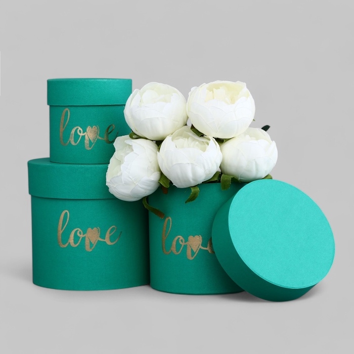 Набор шляпных коробок Love 3 в 1 зеленый, 15 х 16 - 10,5 х 11 см Набор шляпных коробок Love 3 в 1 зеленый, 15 х 16 - 10,5 х 11 см