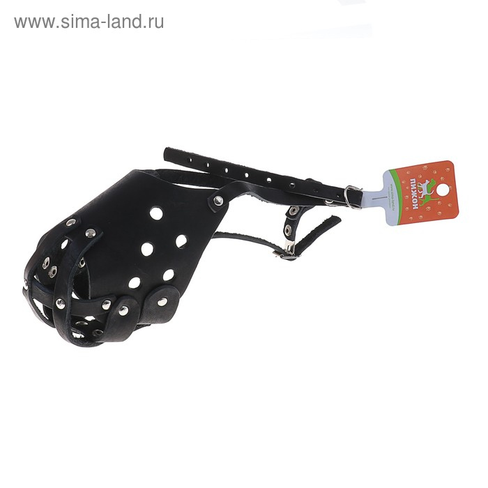 Намордник кожаный цельнокроенный питбультерьер, ДН 8 см, ОМ 30 см, чёрный Намордник кожаный цельнокроенный питбультерьер, ДН 8 см, ОМ 30 см, чёрный