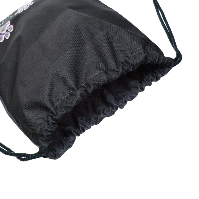 Мешок для обуви 435 х 360 мм, Stavia (плотность 600D с водоотталкивающей ПУ-пропиткой) "Лапки"