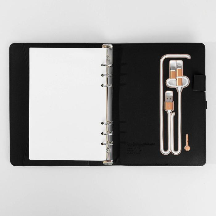 Ежедневник со встроенным зарядным устройством 8000 мАh и флешкой 16 ГБ «Лев», 17,5 х 23,5 см