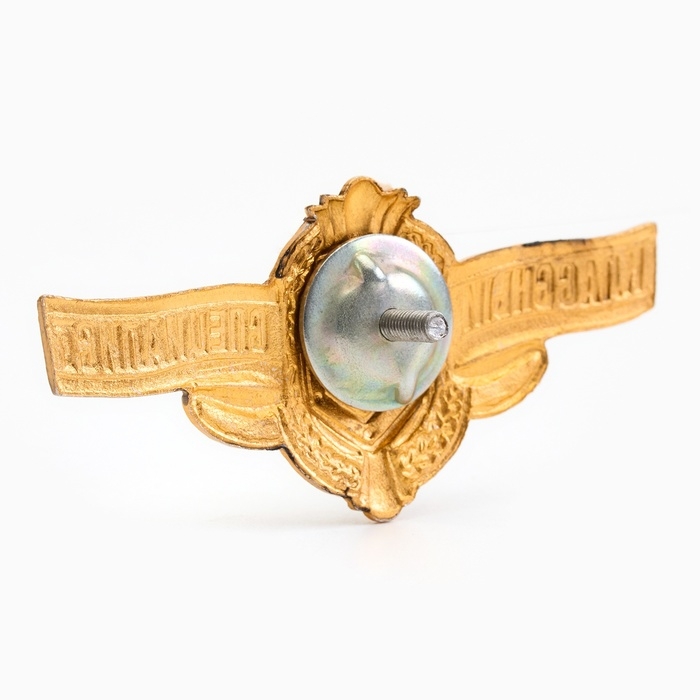 Значок Значок "Мастер" классный специалист, на винте