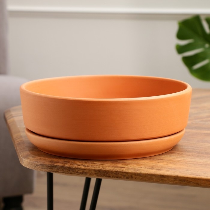 Горшок бонсайница Горшок бонсайница "Огма" для кактусов и суккулентов, терракот, 3 л